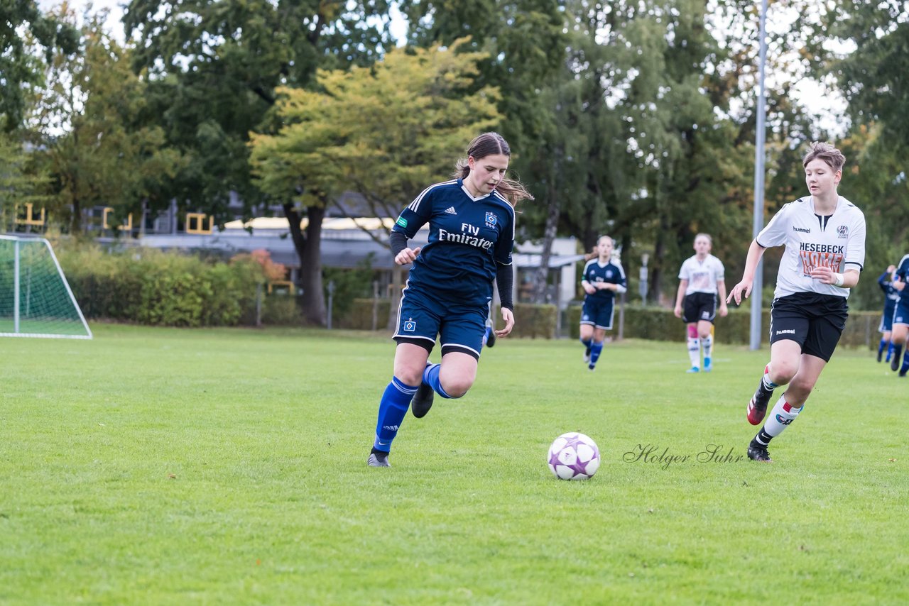 Bild 52 - B-Juniorinnen SV Henstedt Ulzburg - Hamburger SV : Ergebnis: 2:3